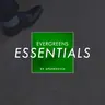 Essentials - Energy Coachen