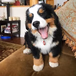 AAAAAA