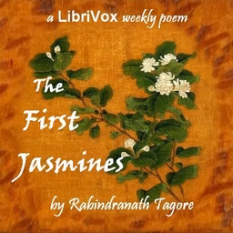First Jasmines