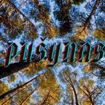 PUshYNAS