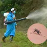 50.000 ca mắc sốt xuất huyết trong 5 tháng: Chuyên gia hướng dẫn phòng bệnh