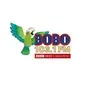 Bobo 103.1 FM