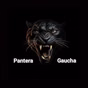 Rádio Pantera Gaúcha