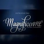Magnificent Radio