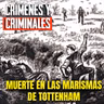 Muerte en las marismas de Tottenham