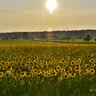 Encouragement and Prayer: A Generous Attitude! (8/3/26)