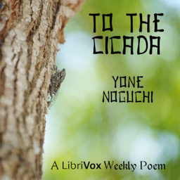 To The Cicada