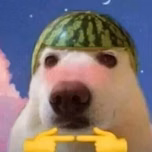 Fora de contexto