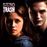 A Saga Crepúsculo - Qual Seu Time?