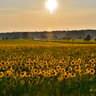 Encouragement and Prayer: Being Obedient To Parents! (10/1/26)