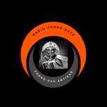 radio forro das antigas