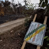 Desespero da seca: indígenas no Amazonas usam a pouca água que têm para apagar incêndios