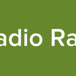 Radio Raiz