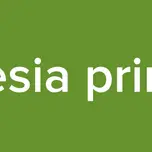 la iglesia primitiva