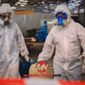 LISTEN: Workers Hospitalized After Chemical Leak at Purina Dog Food Plant