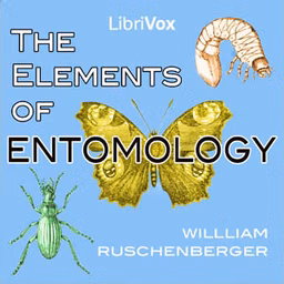 Elements of Entomology