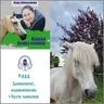 #222 Samotność, osamotnienie i bycie samemu