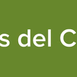 Ondas del Campo