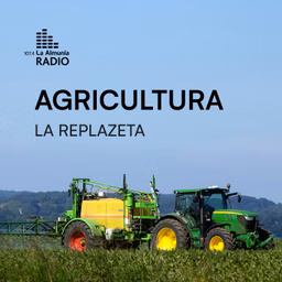 Agricultura - La Replazeta