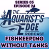 No Aquariums Allowed? How to Be a Fishkeeper Without Owning a Tank