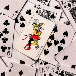 Il giocatore
