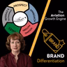 Aviation Marketing Executive Brief - Brand Differentiation