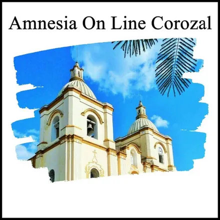 Amnesia On Line Corozal