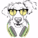 JIM-WEBRADIO