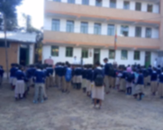 What is dalsha bezawit alem school