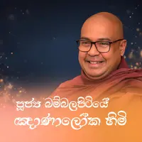 බම්බලපිටියේ ඤාණාලෝක ස්වාමීන් වහන්සේ (Ven. Bambalapitiye Gnanaloka Thero)