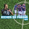 Bichos do Paraná #54 - Na série D Cianorte se consolida no G4 do grupo A7 e na série B Operário encosta nos quatro primeiros