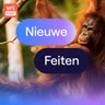 Ook Orang-oetans vinden eten lekkerder als het gezellig is
