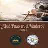 El Maná de Hoy - Serie: Qué pasó en el madero? Parte 2