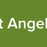 Velvet Angel Radio