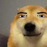 FUNK RJ