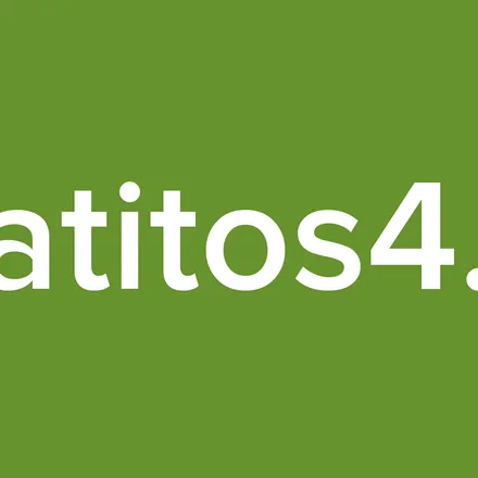 gatitos4.0