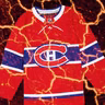 Montreal Canadiens fans triggered an actual earthquake reading