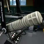 LA AMAPEÑA