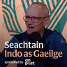 Gaeltacht Loch Garman: When was Irish spoken in Wexford?