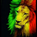 root_londono507