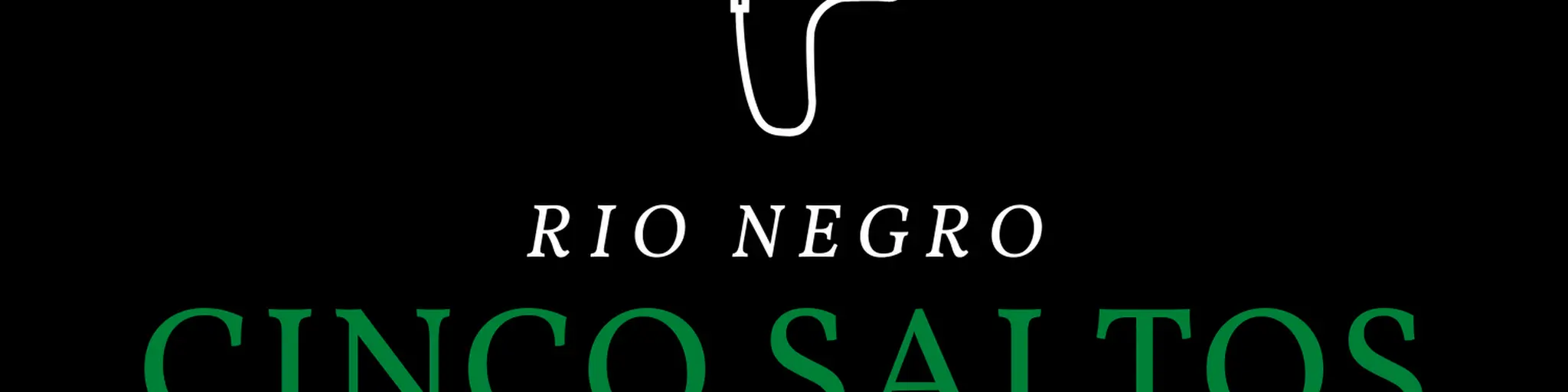 CINCO SALTOS ONLINE