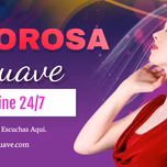 AMOROSA SUAVE ONLINE