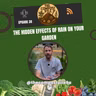 The Hidden Effects of Rain on Your Garden