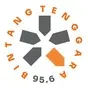 Radio Bintang Tenggara