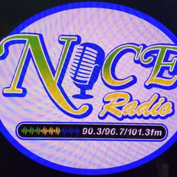BDS NICE RADIO SVG