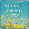 Хлеб против войны, разминирование будущего и «Живые библиотеки» в фавелах / Мирные новости — 25 марта 2026