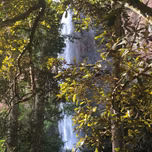 Dzimauli  FM