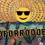 Só Forró Do Bom