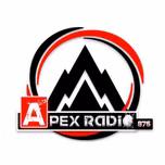 TEST - APEX RADIO 876