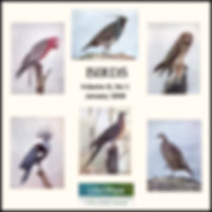 Birds, Vol. III, No 1, January 1898 by Various